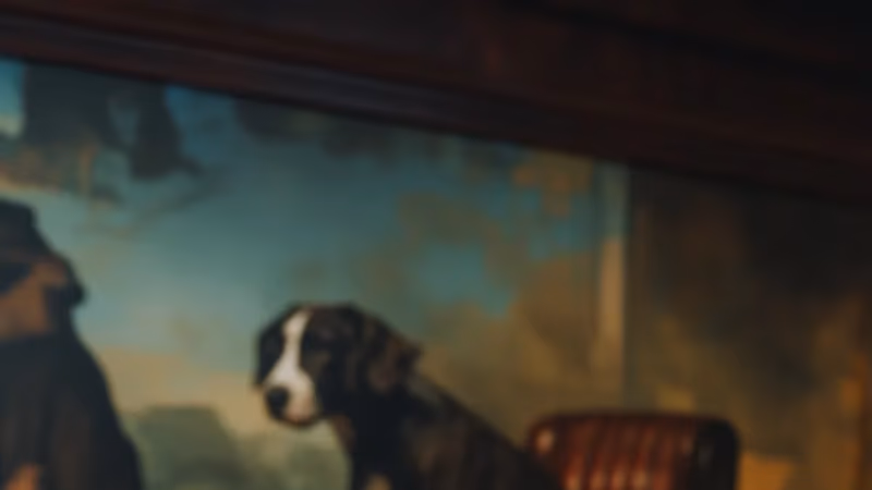 Types of Dog Bite Laws in New York