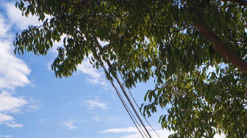 North Hempstead Fence Fight: Are Your Borders a Legal Risk?