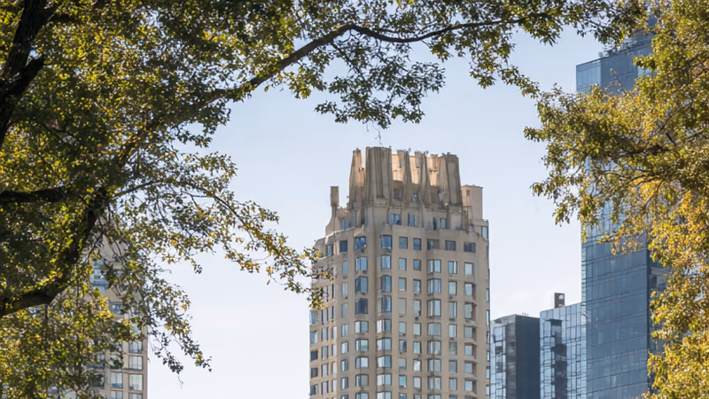 New York’s Leash Law Realities