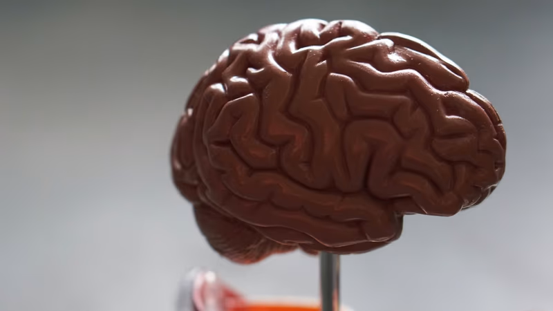 Understanding Medical Causation in New York Personal Injury Cases: Expert Analysis Requirements