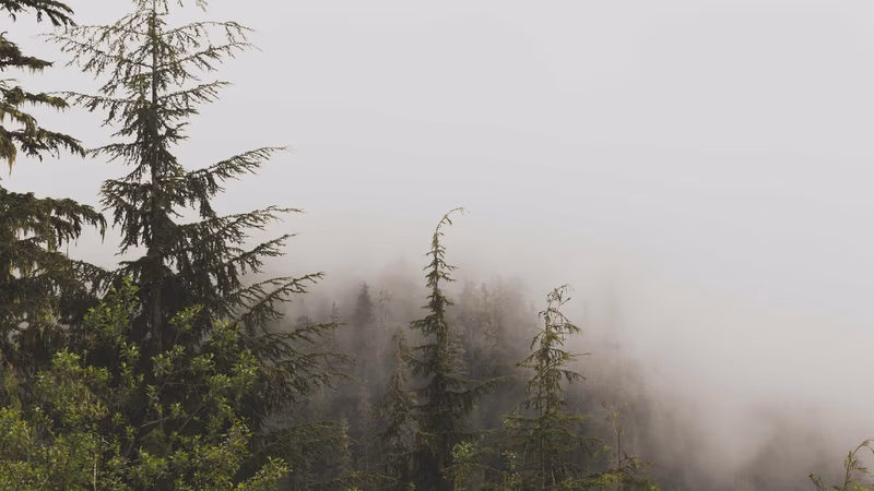 Understanding Self-Imposed ROM Limitations in Personal Injury Cases: What New York Plaintiffs Need to Know